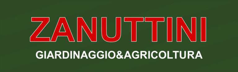 Camia Consulting - Consulenza Informatica 6 zanuttini logo